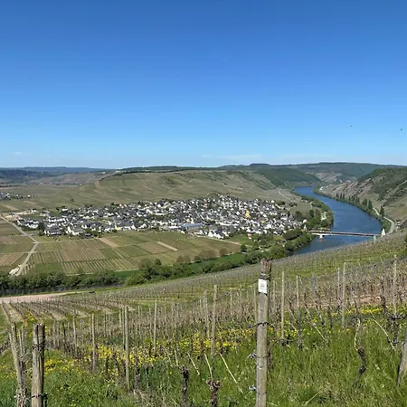 Apartment Grosse Mosel-fewo, 4 Schlafzimmer & Bis Zu 8 Pers, Mit Parkplatz Trittenheim